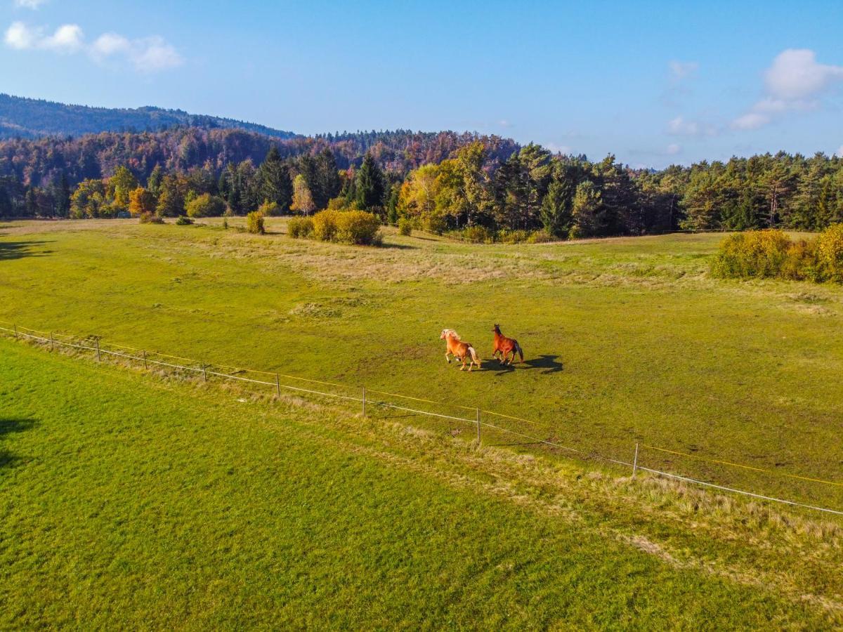 Notranjska Hisa - Traditional Country House, Close To The World Attraction Cerknica Lake Begunje pri Cerknici Exterior photo