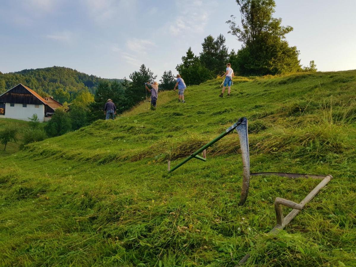 Notranjska Hisa - Traditional Country House, Close To The World Attraction Cerknica Lake Begunje pri Cerknici Exterior photo