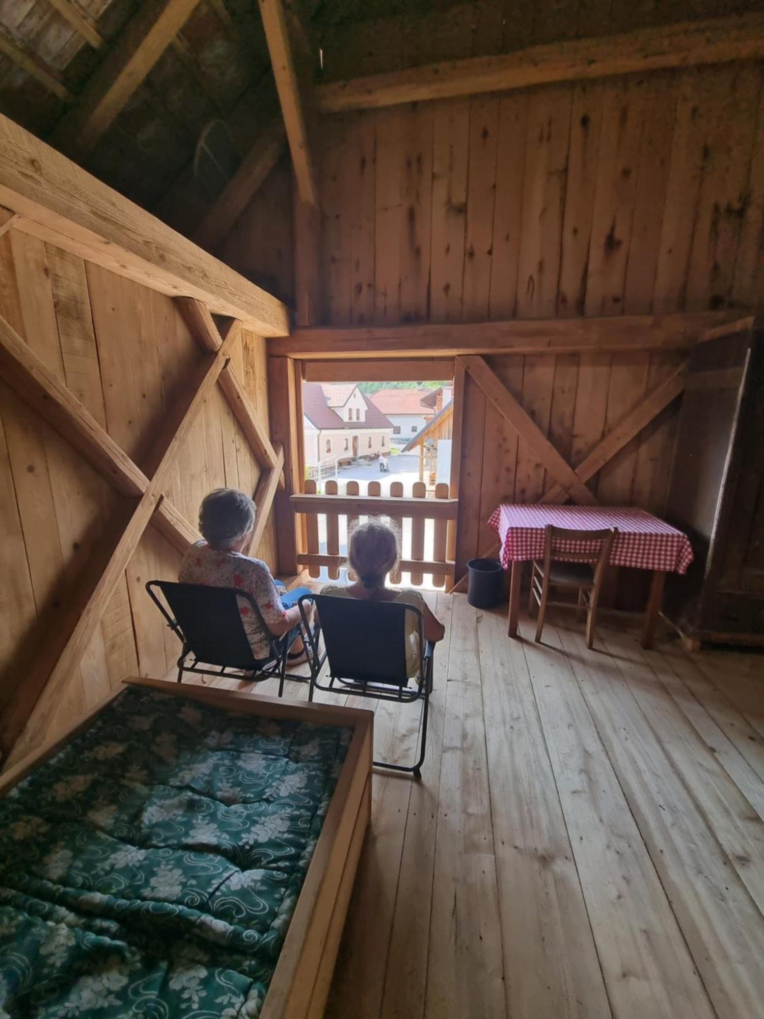 Notranjska Hisa - Traditional Country House, Close To The World Attraction Cerknica Lake Begunje pri Cerknici Exterior photo